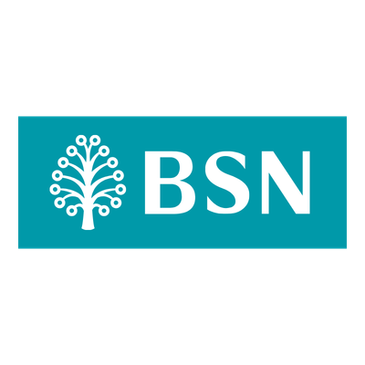 BSN Logo